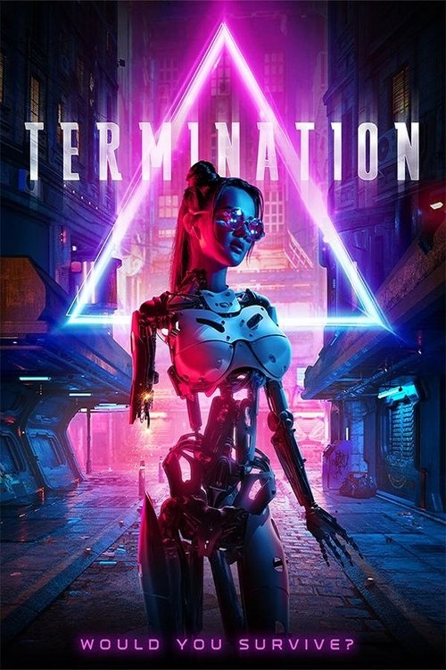 Termination постер