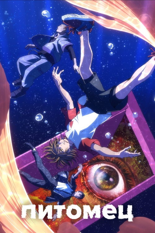 Питомец постер