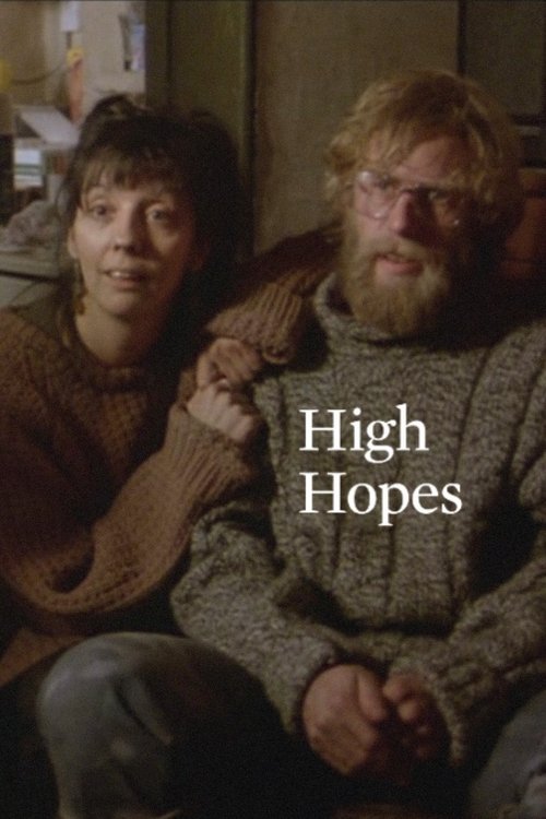 High Hopes постер