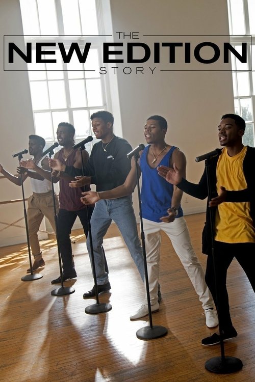 The New Edition Story постер