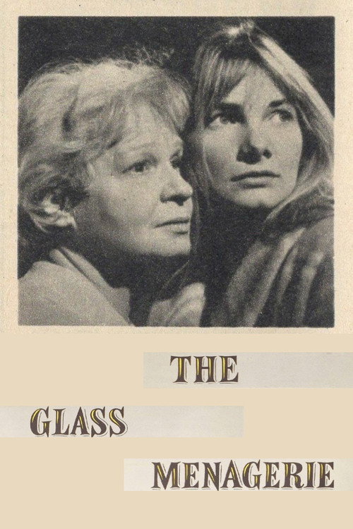 The Glass Menagerie постер