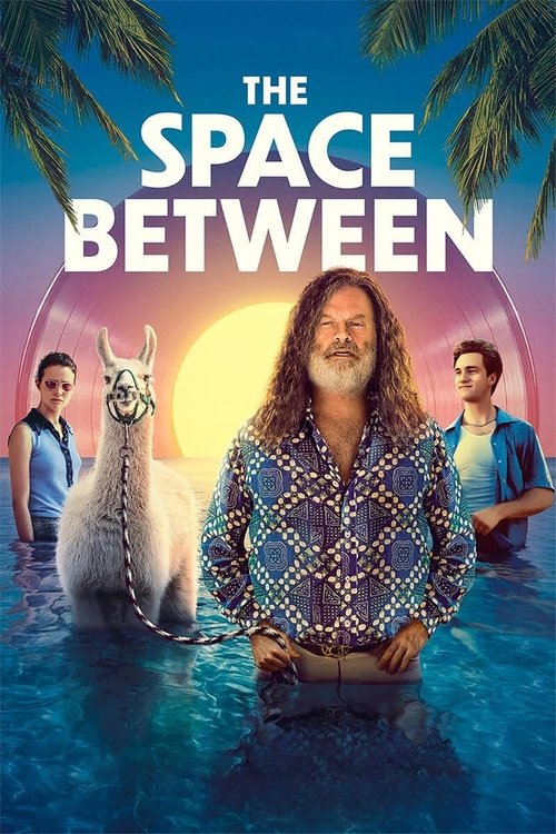 The Space Between постер