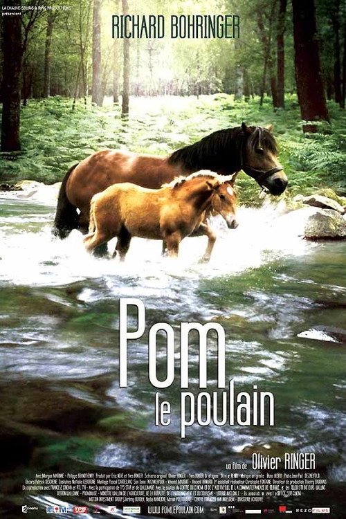 Pom, le poulain постер