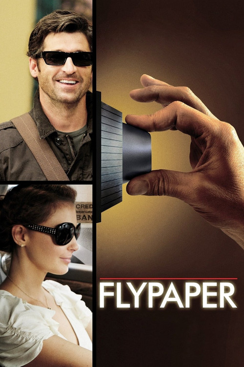 Flypaper постер