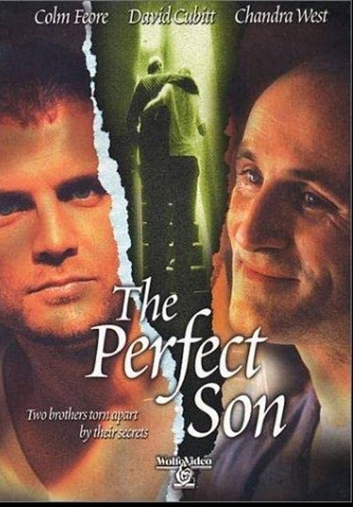 The Perfect Son постер