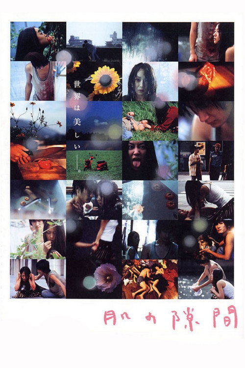 肌の隙間 постер