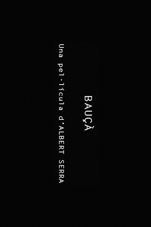 Bauçà постер