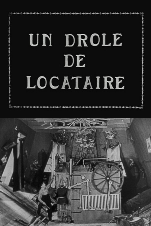 A Wild Roomer постер