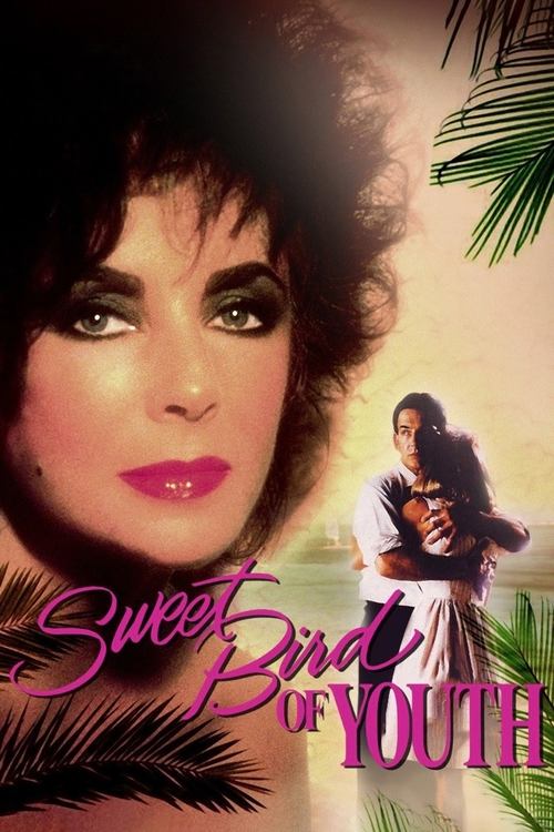 Sweet Bird of Youth постер
