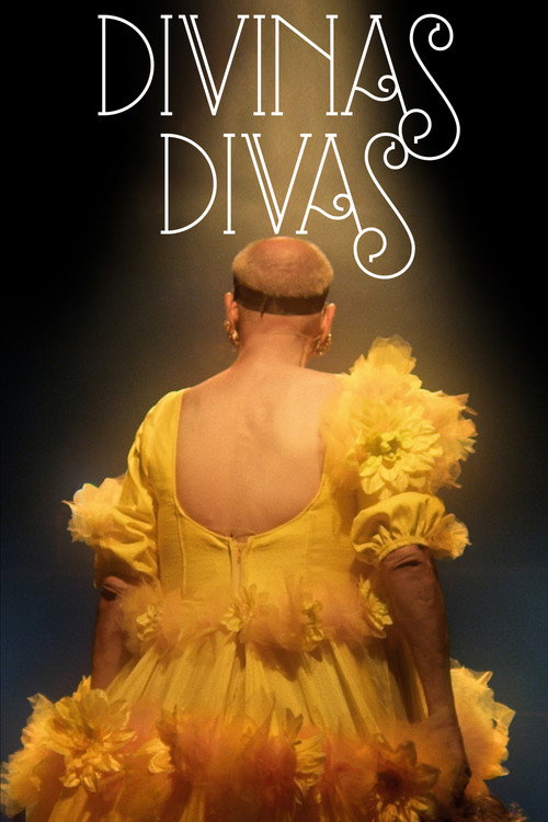 Divinas Divas постер