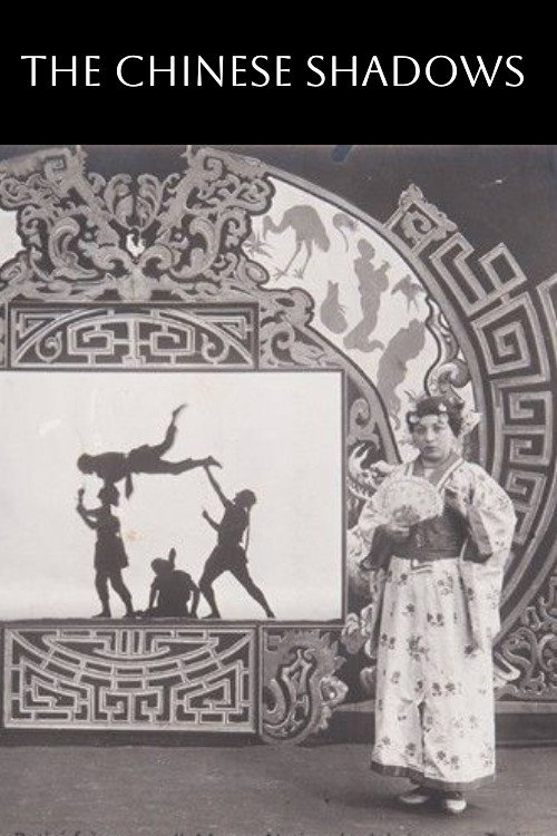 Les ombres chinoises постер