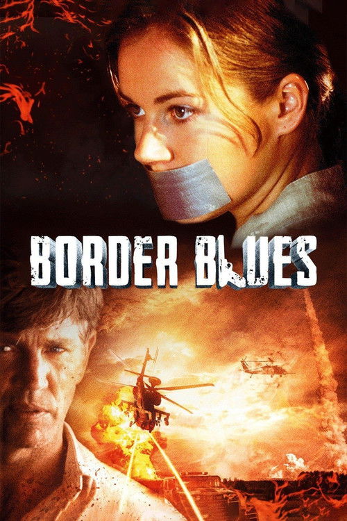 Border Blues постер