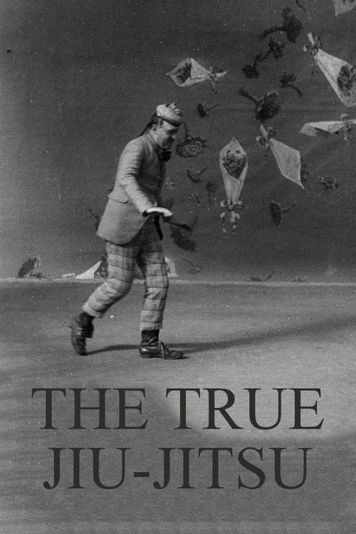 Dranem Performs The True Jiu-Jitsu постер