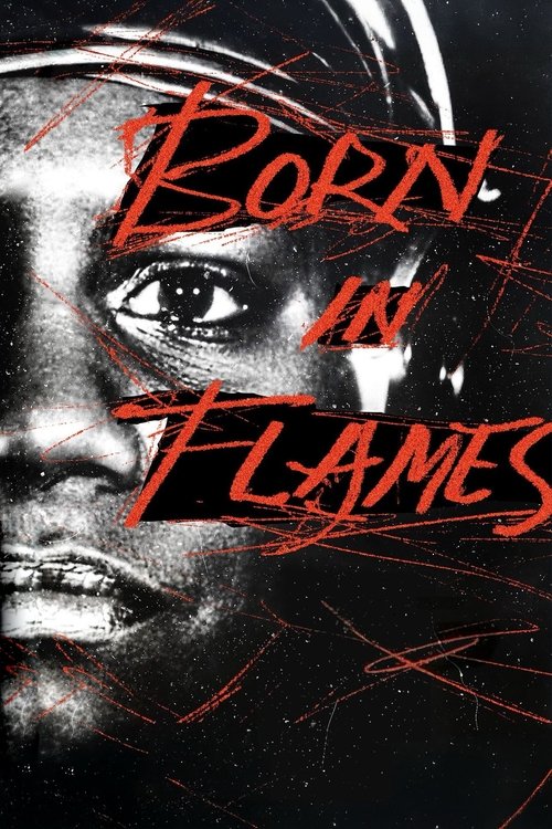 Born in Flames постер