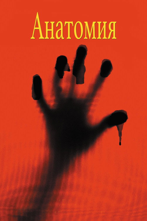 Анатомия постер