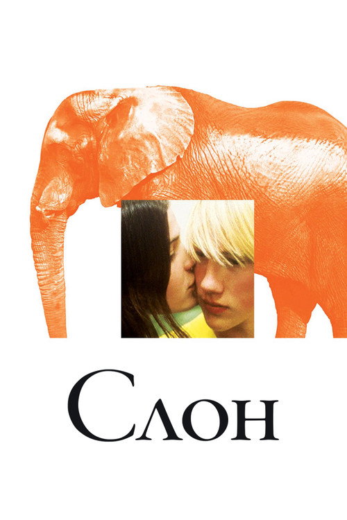 Слон постер