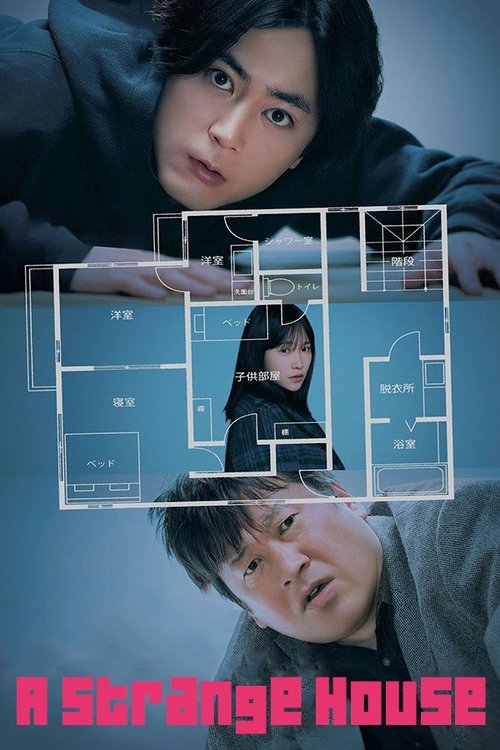 変な家 постер