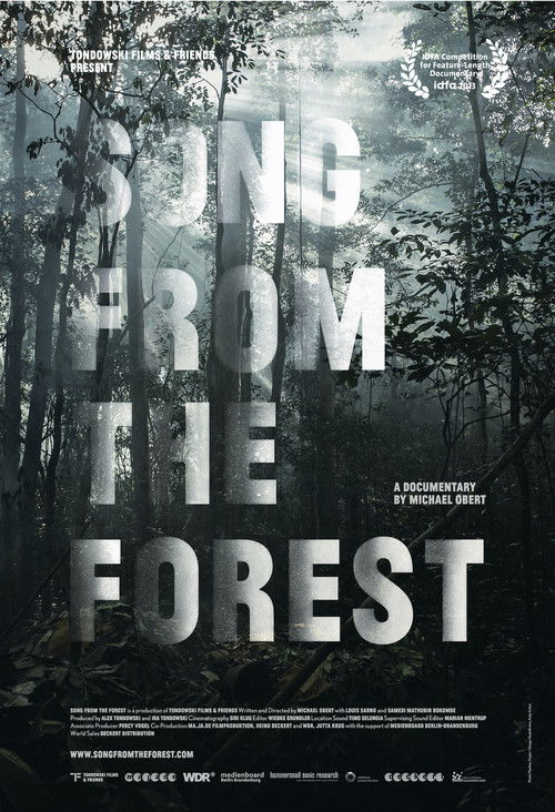 Song from the Forest постер