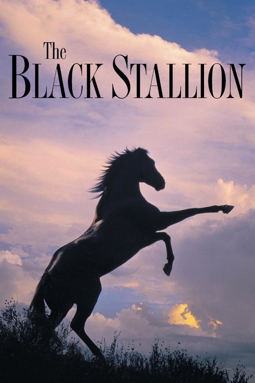 The Black Stallion постер