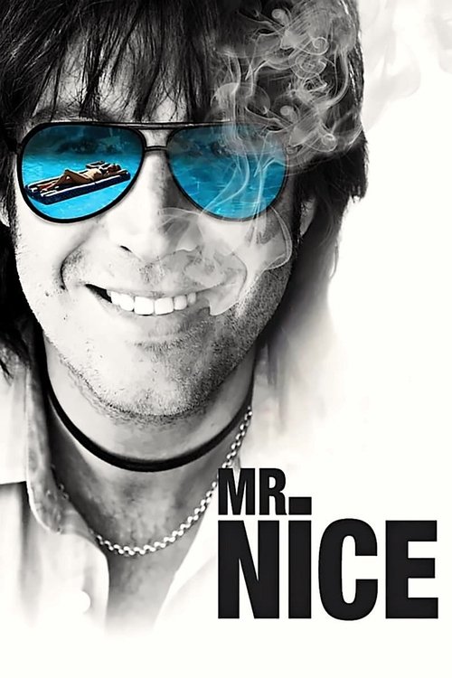 Mr. Nice постер