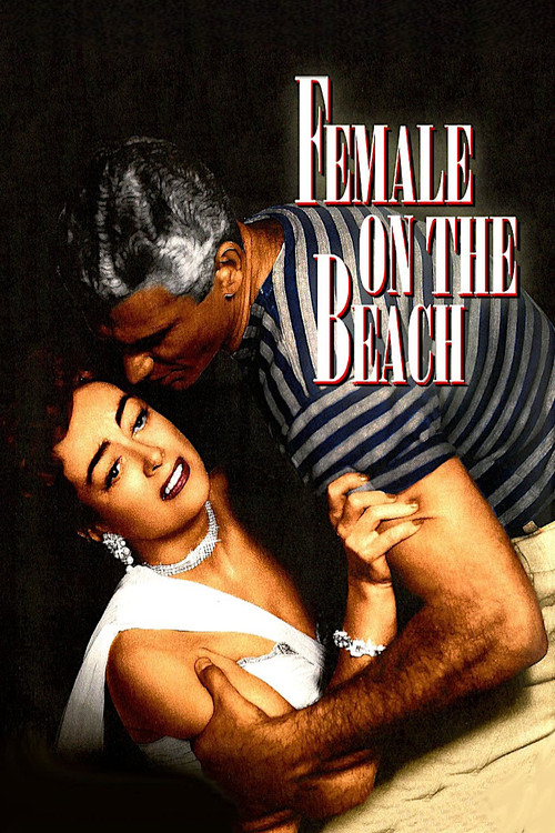 Female on the Beach постер