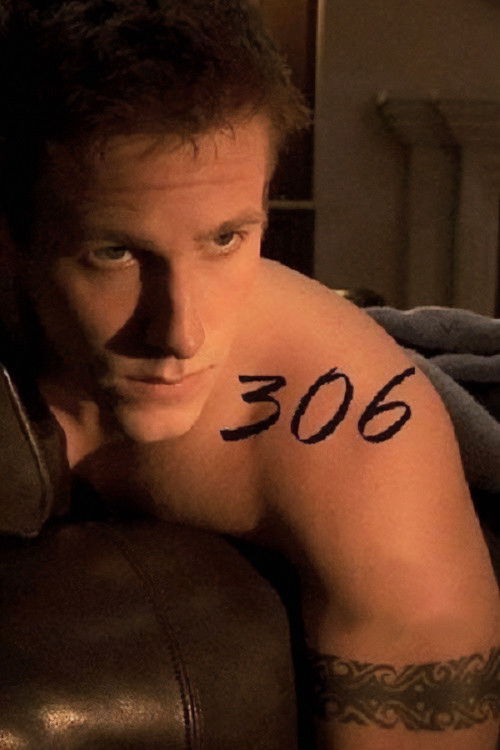 306 постер