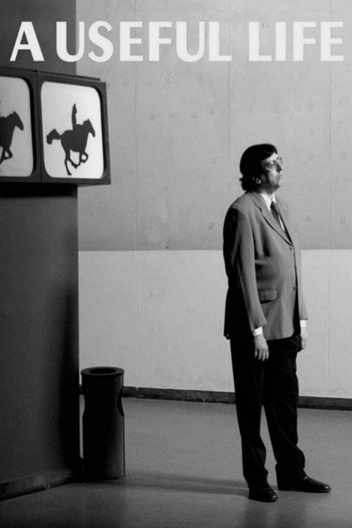 La vida útil постер