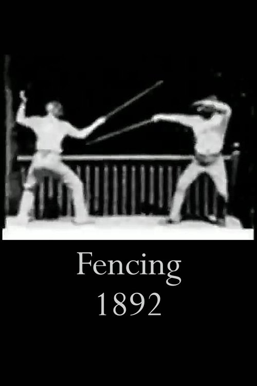 Fencing постер