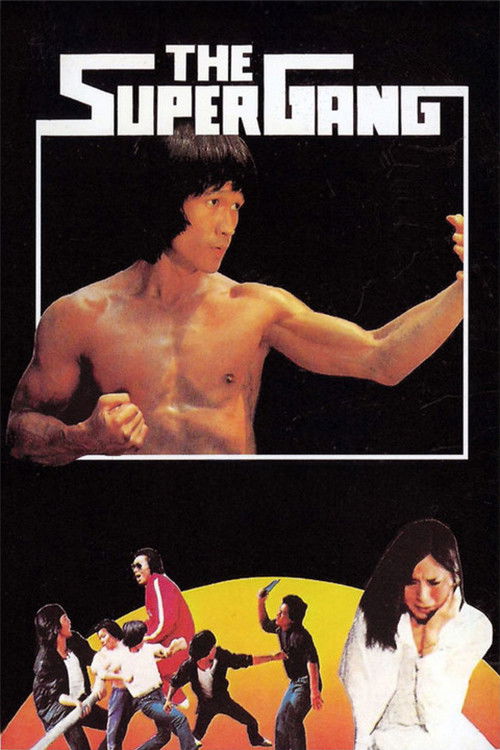 反碗底 постер