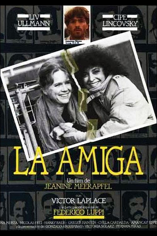 La amiga постер