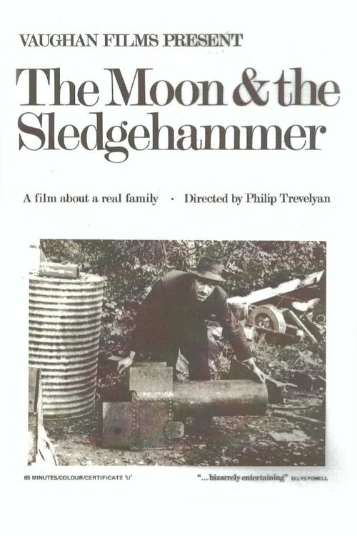 The Moon and the Sledgehammer постер