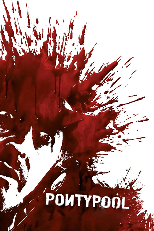 Понтипул постер