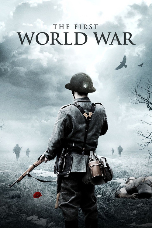 The First World War постер