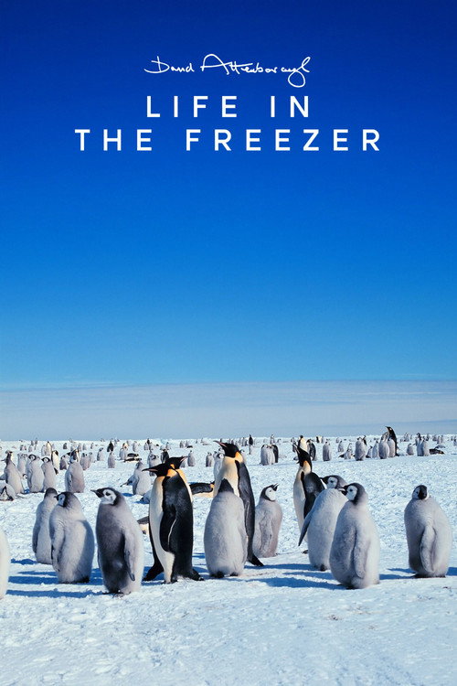 Life in the Freezer постер