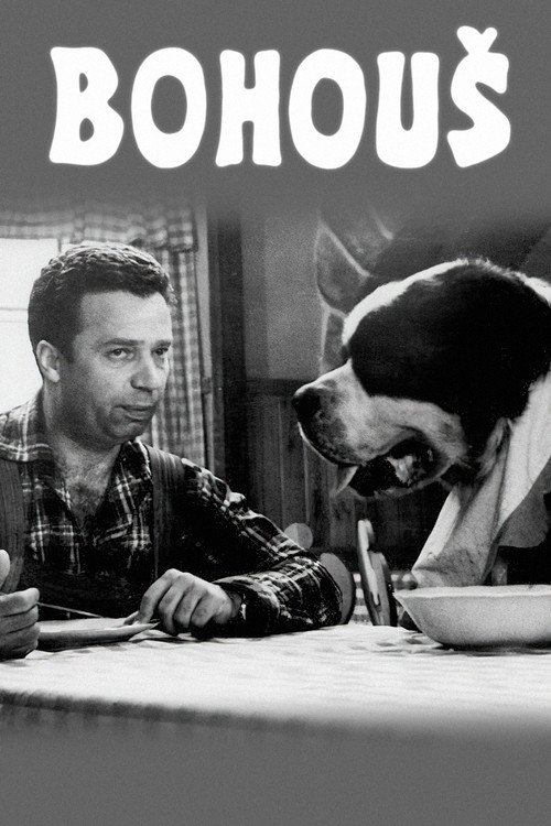 Bohouš постер