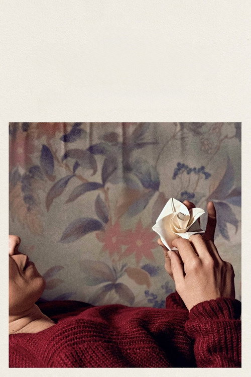 The Last Romantics постер