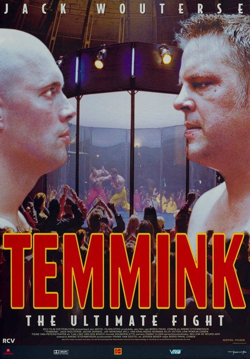 Temmink: The Ultimate Fight постер
