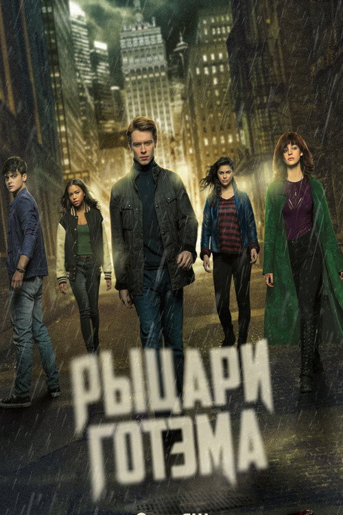 Рыцари Готэма постер