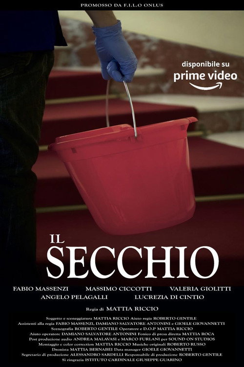 Il secchio постер