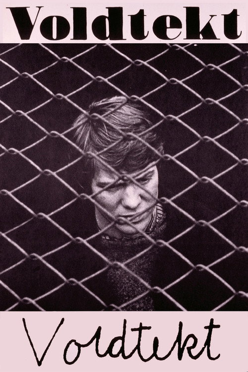 Voldtekt постер