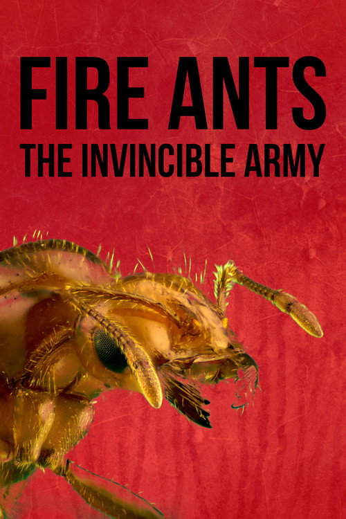 Fire Ants 3D: The Invincible Army постер