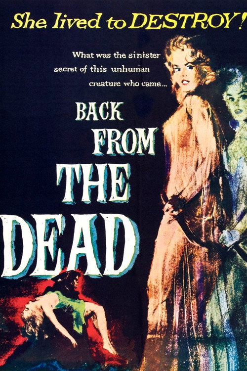 Back from the Dead постер