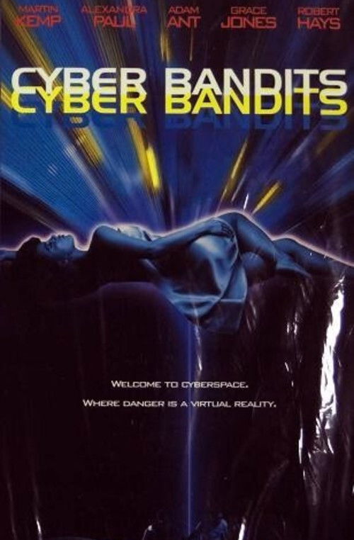Cyber Bandits постер