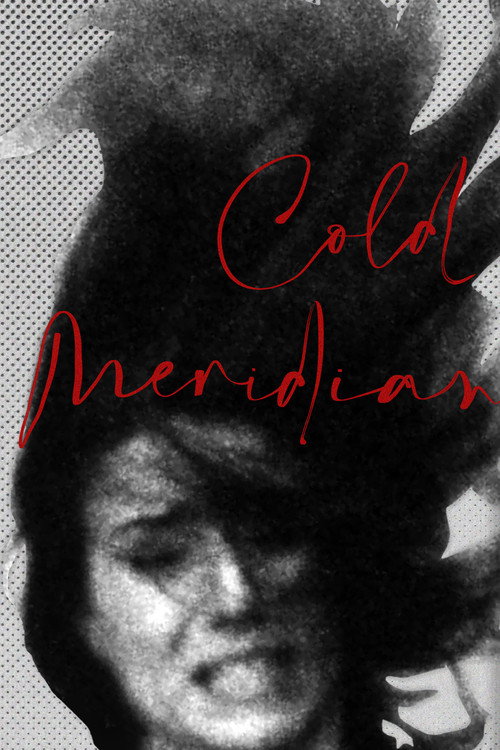 Cold Meridian постер