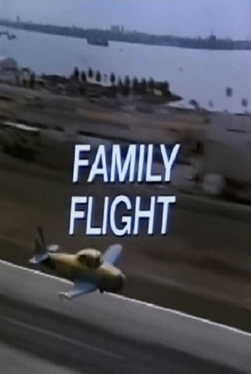 Family Flight постер