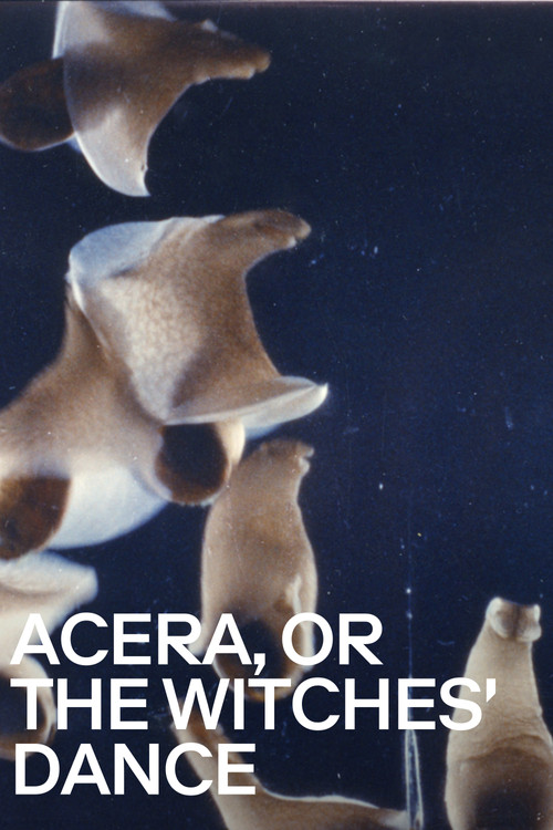 Acéra ou Le bal des sorcières постер