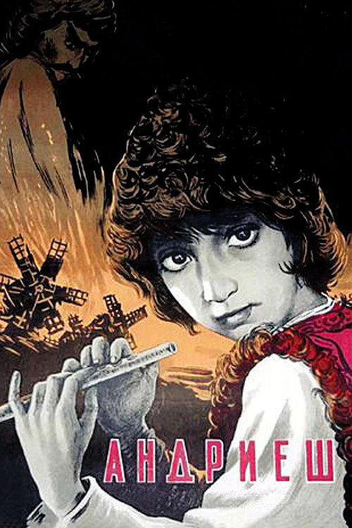 Андриеш постер