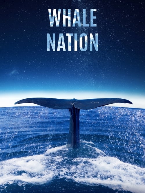 Whale Nation постер