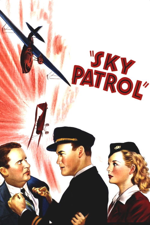 Sky Patrol постер