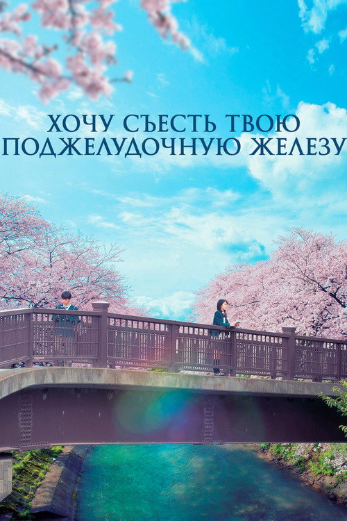 Хочу съесть твою поджелудочную железу постер